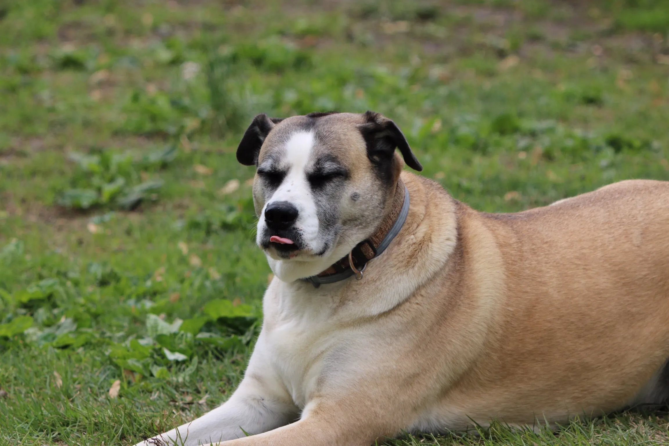 Nala Marie’s Beautifully Weird Face