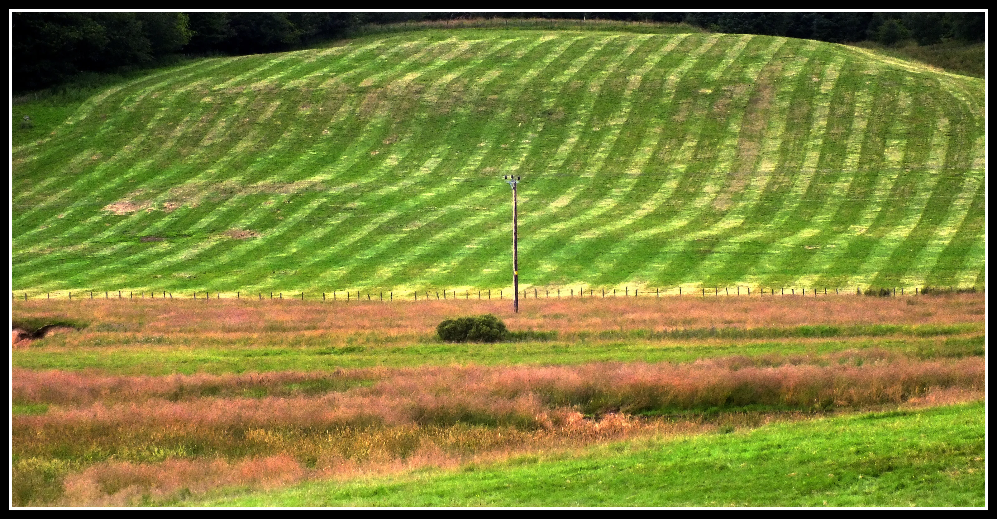Striped Fields (more than two stripes)