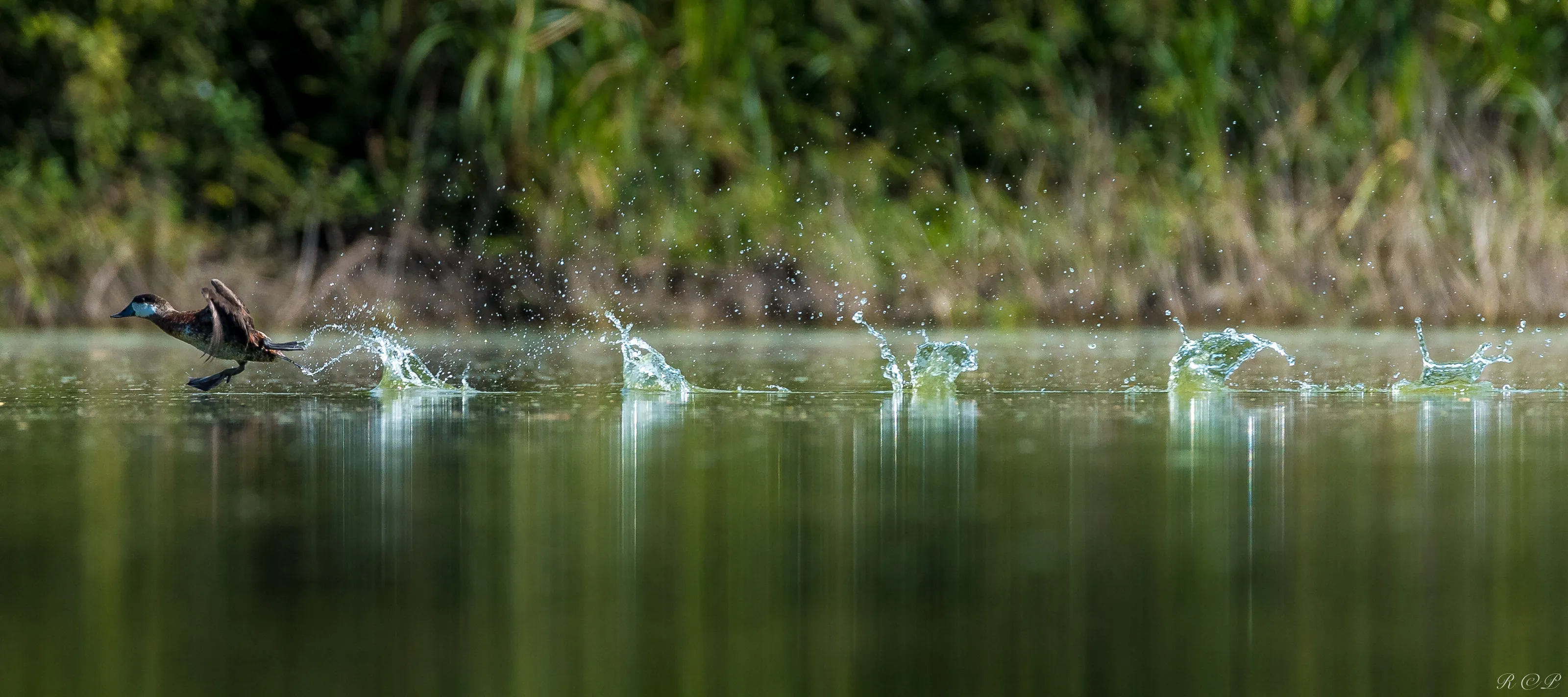 running on the water