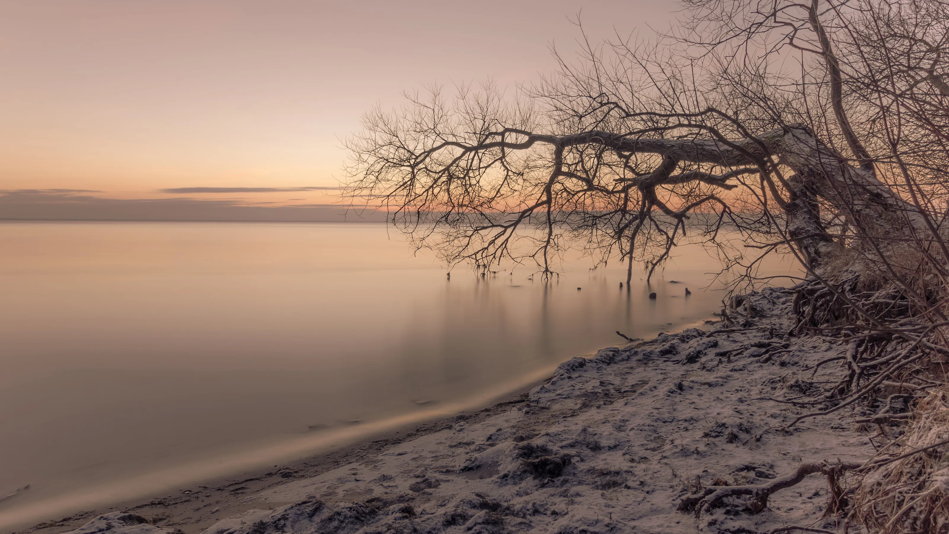 Silent dawn