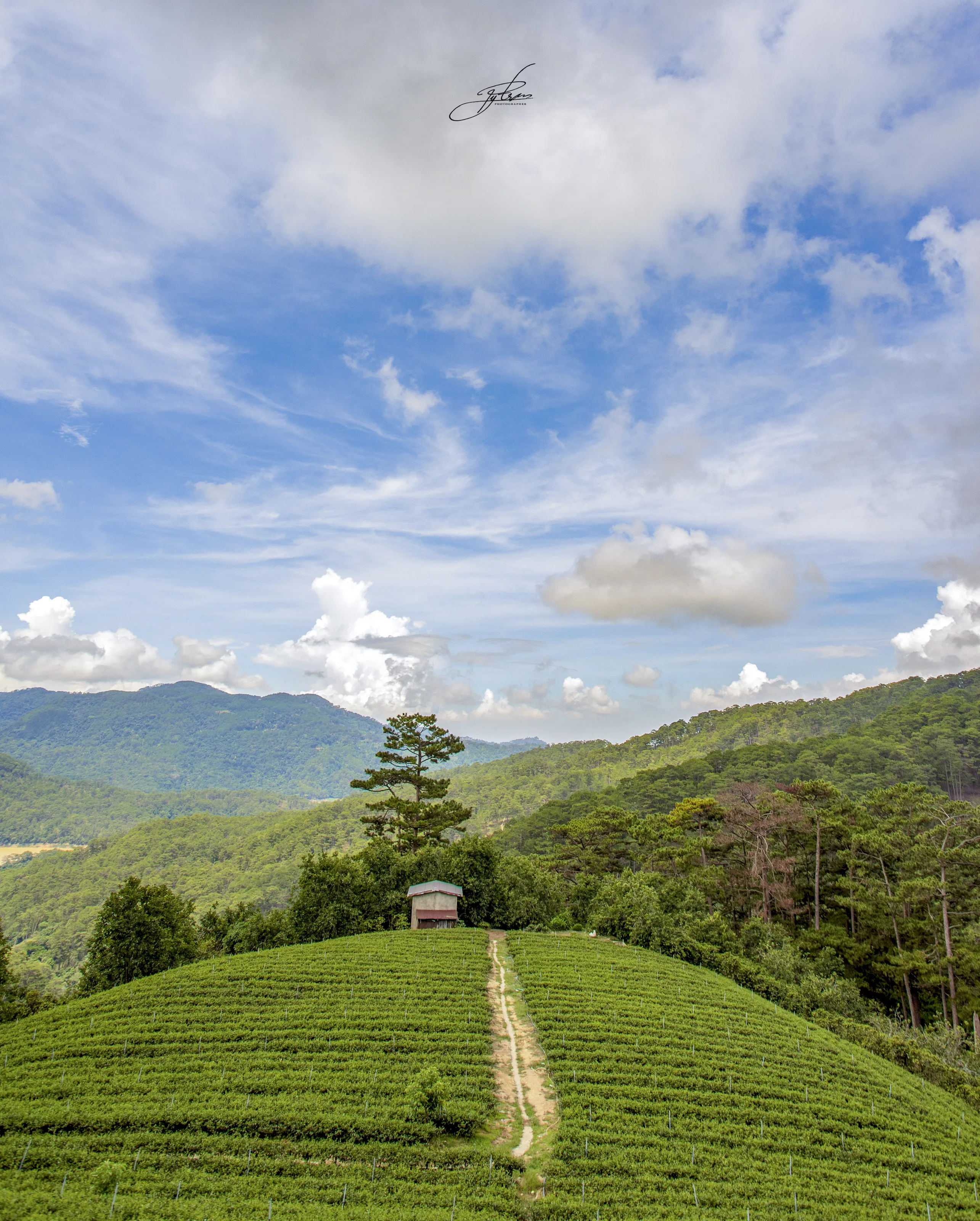 Hill side
