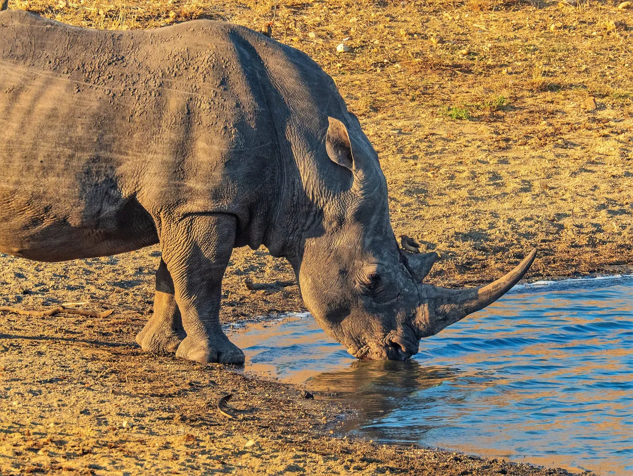 Entry 7834818