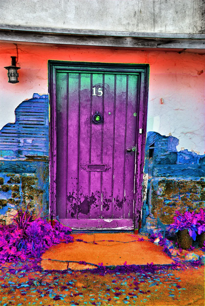 Entry 6895502