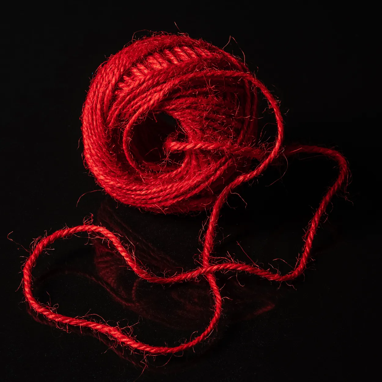 Entry 4205947