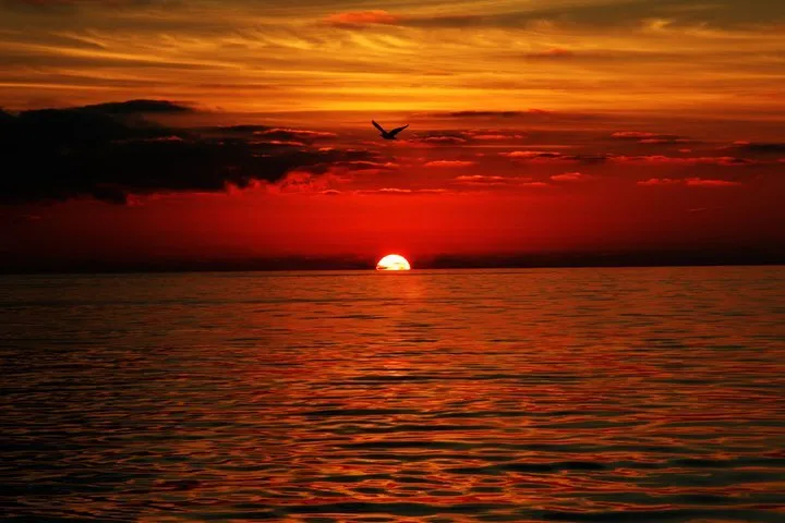 Sunset at sea