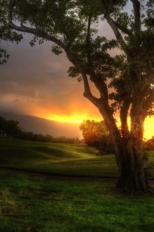 Sunset or Sunrise