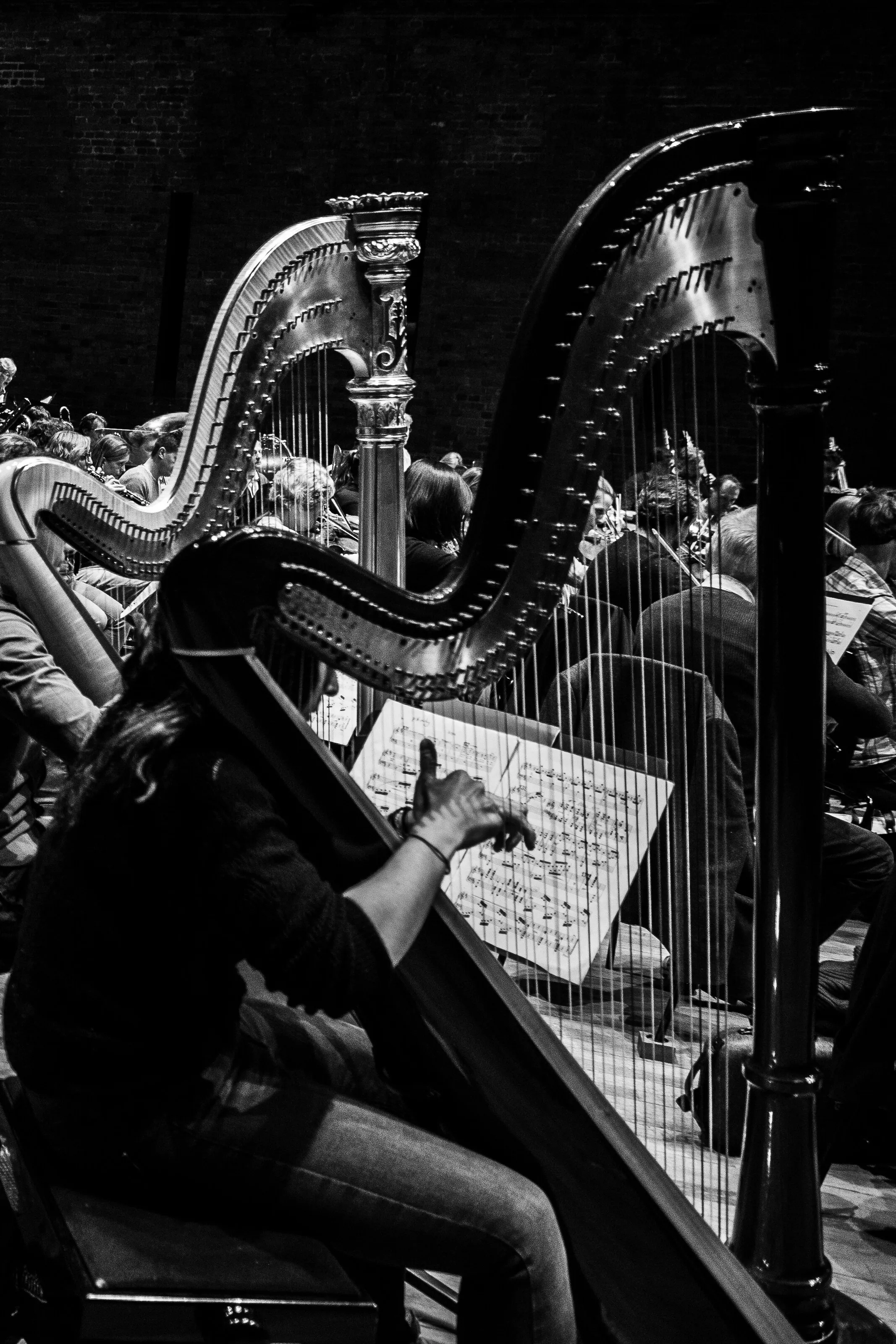 Orchestras