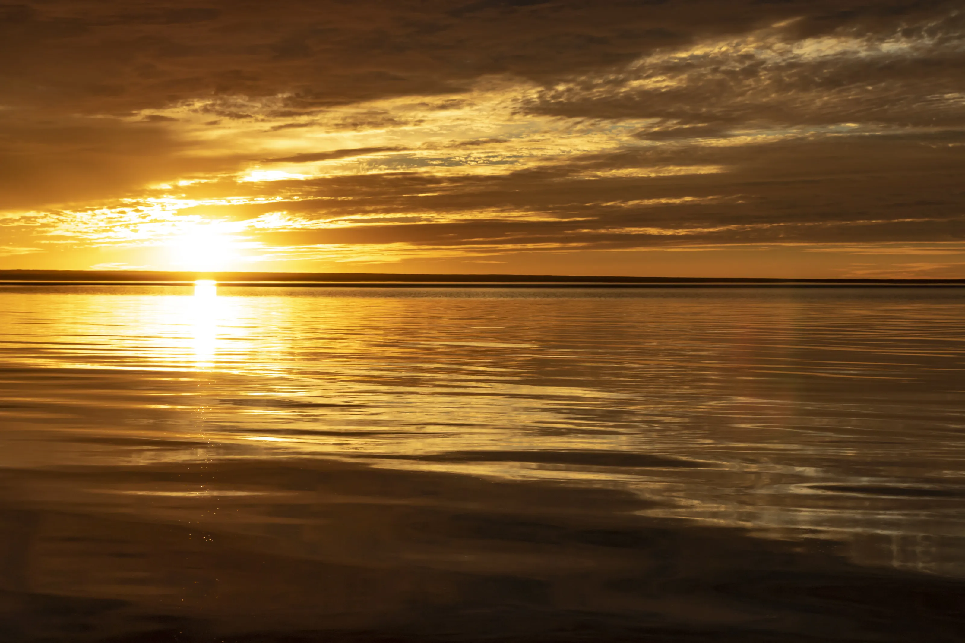 Liquid golden sunset