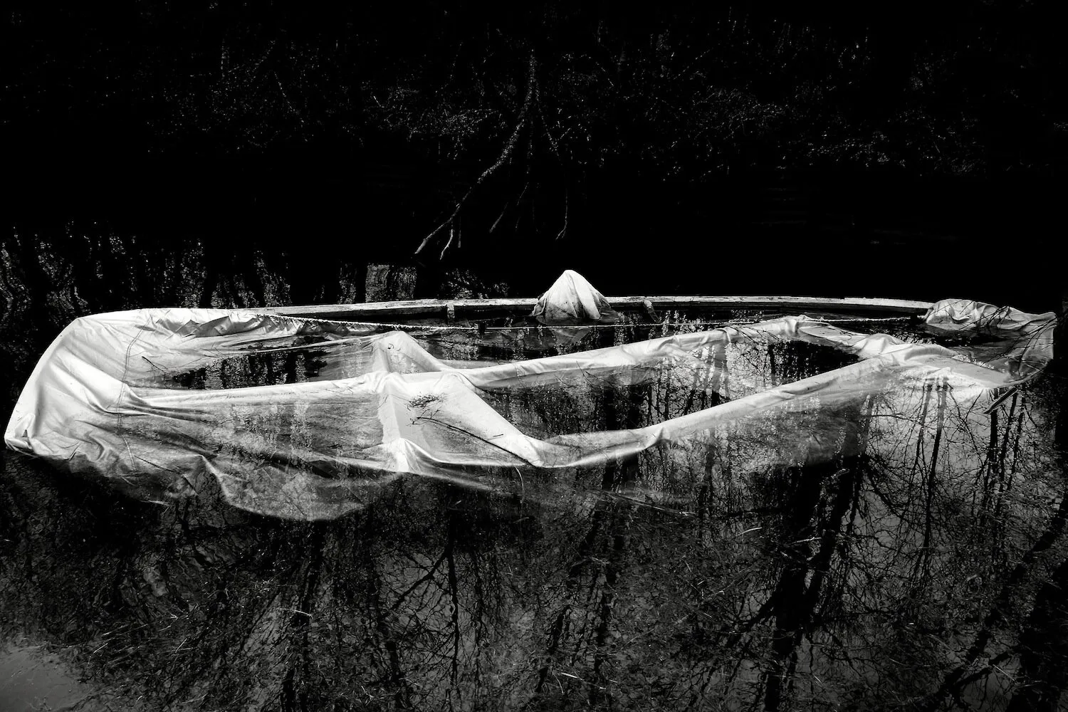 Behind the lens: Meet our winners from ‘The colour white’ and ‘Straight lines’