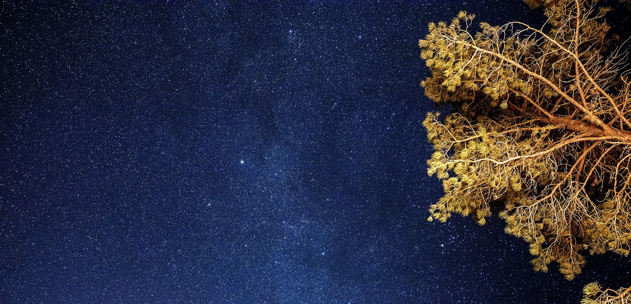 Deadwood Stars
