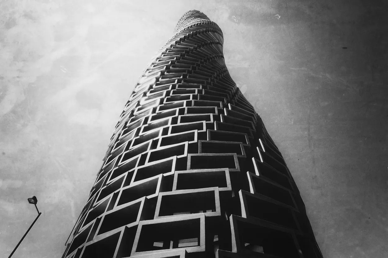 Entry 219493