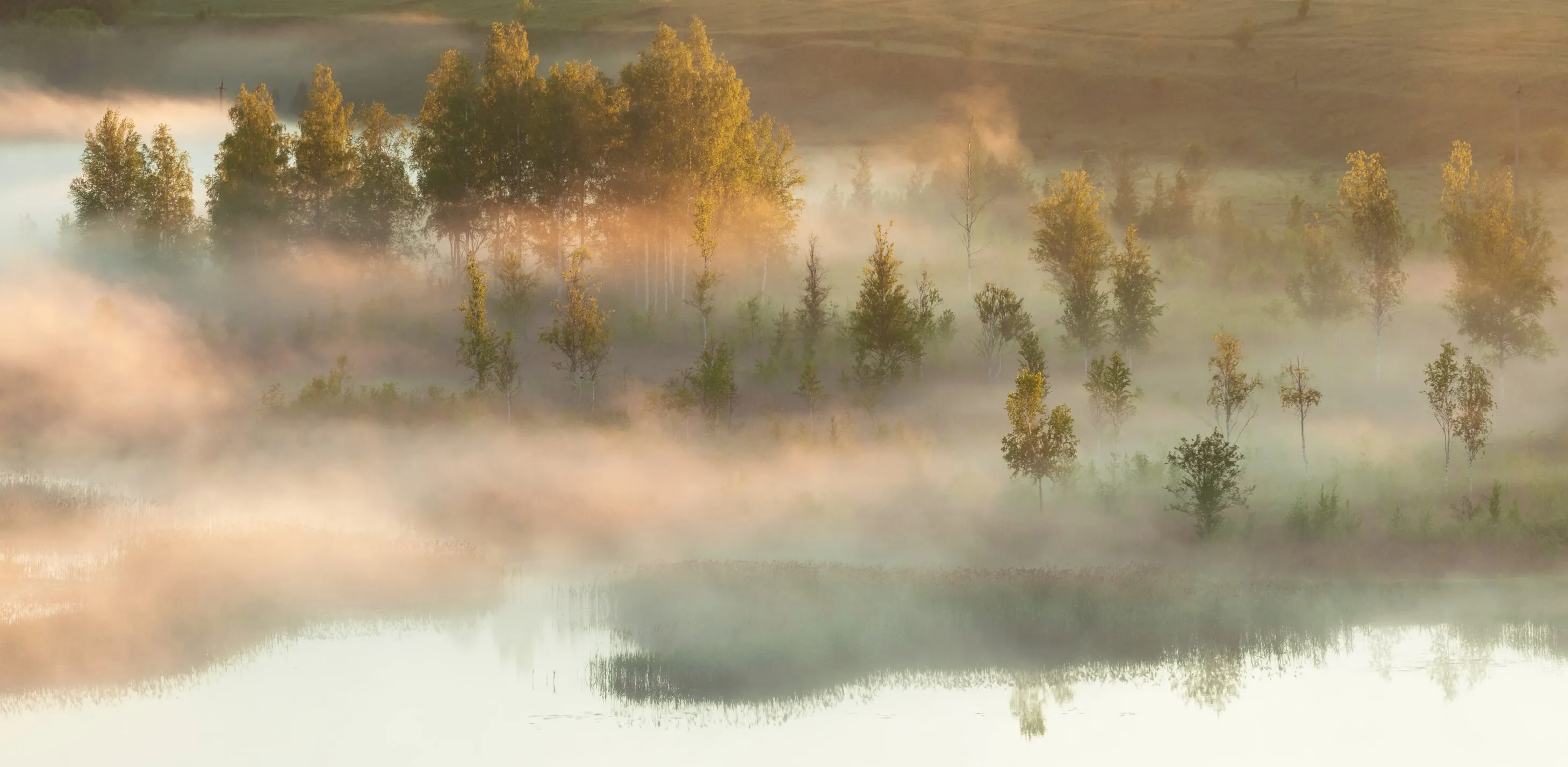 Sunny fog