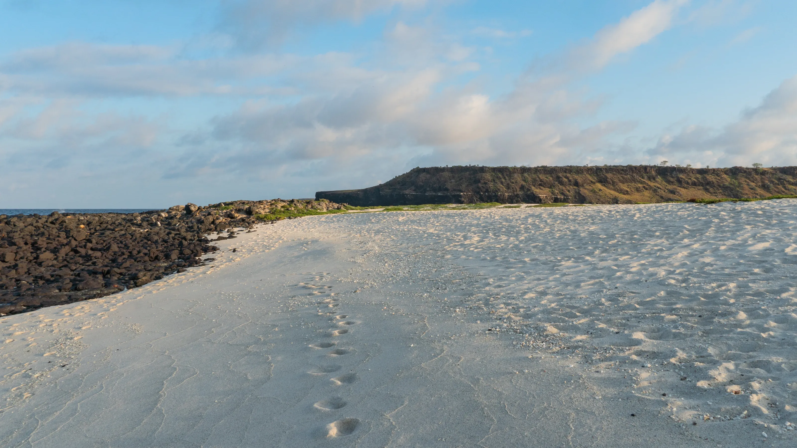 Footprints.