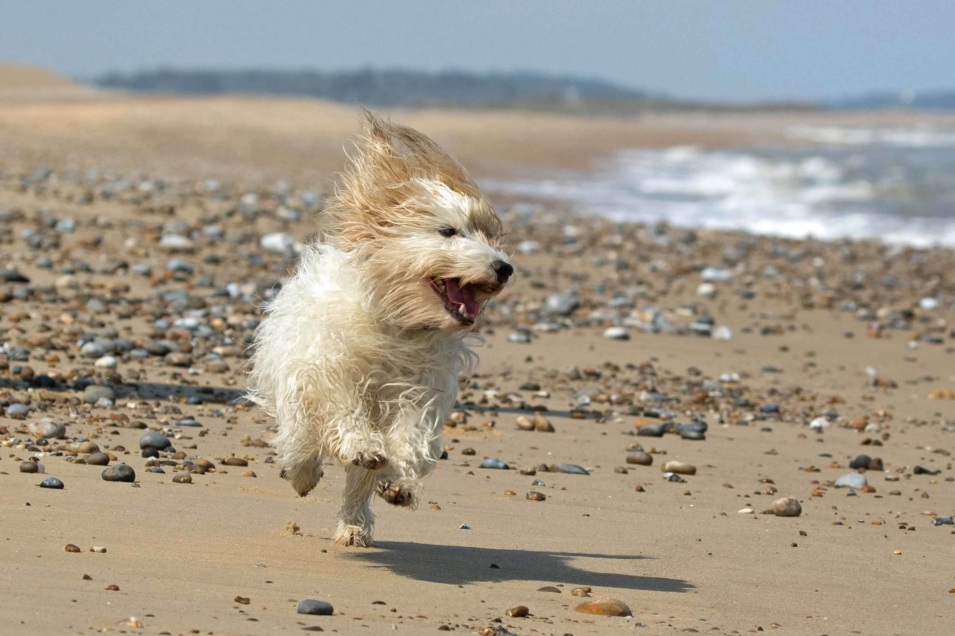 Oh, I do like to be beside the seaside!