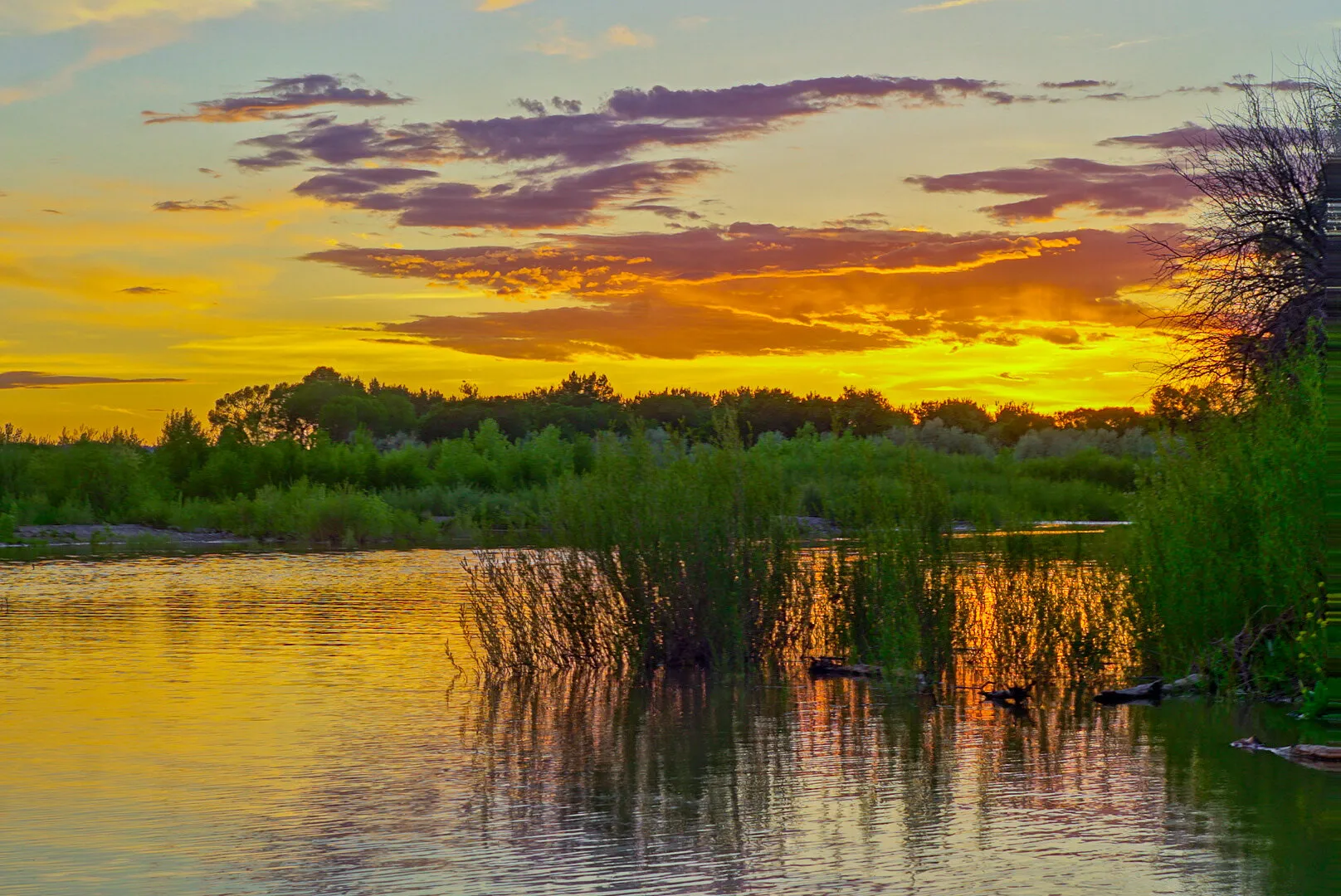 Peaceful surroundings