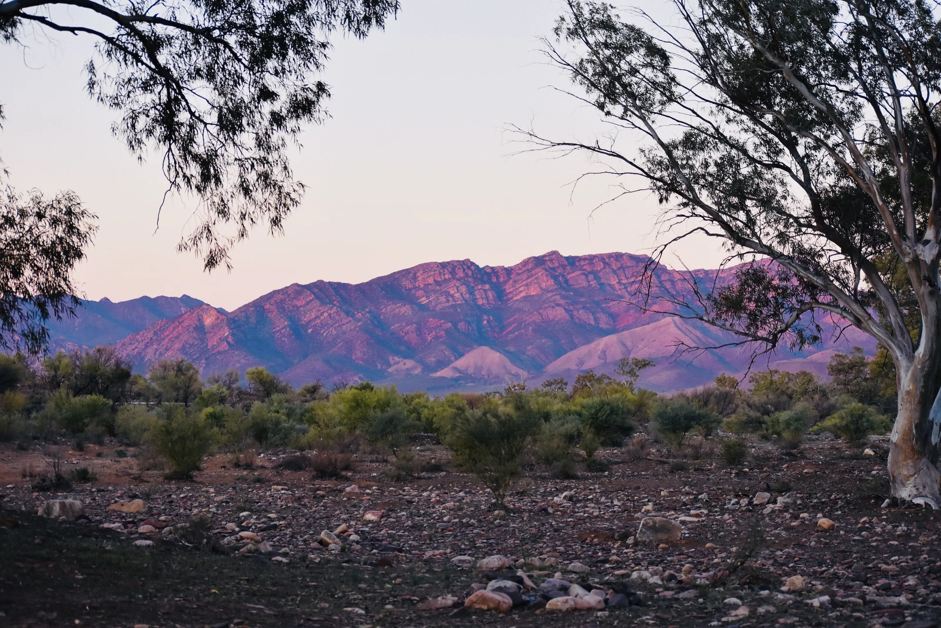 Flinders Ranges