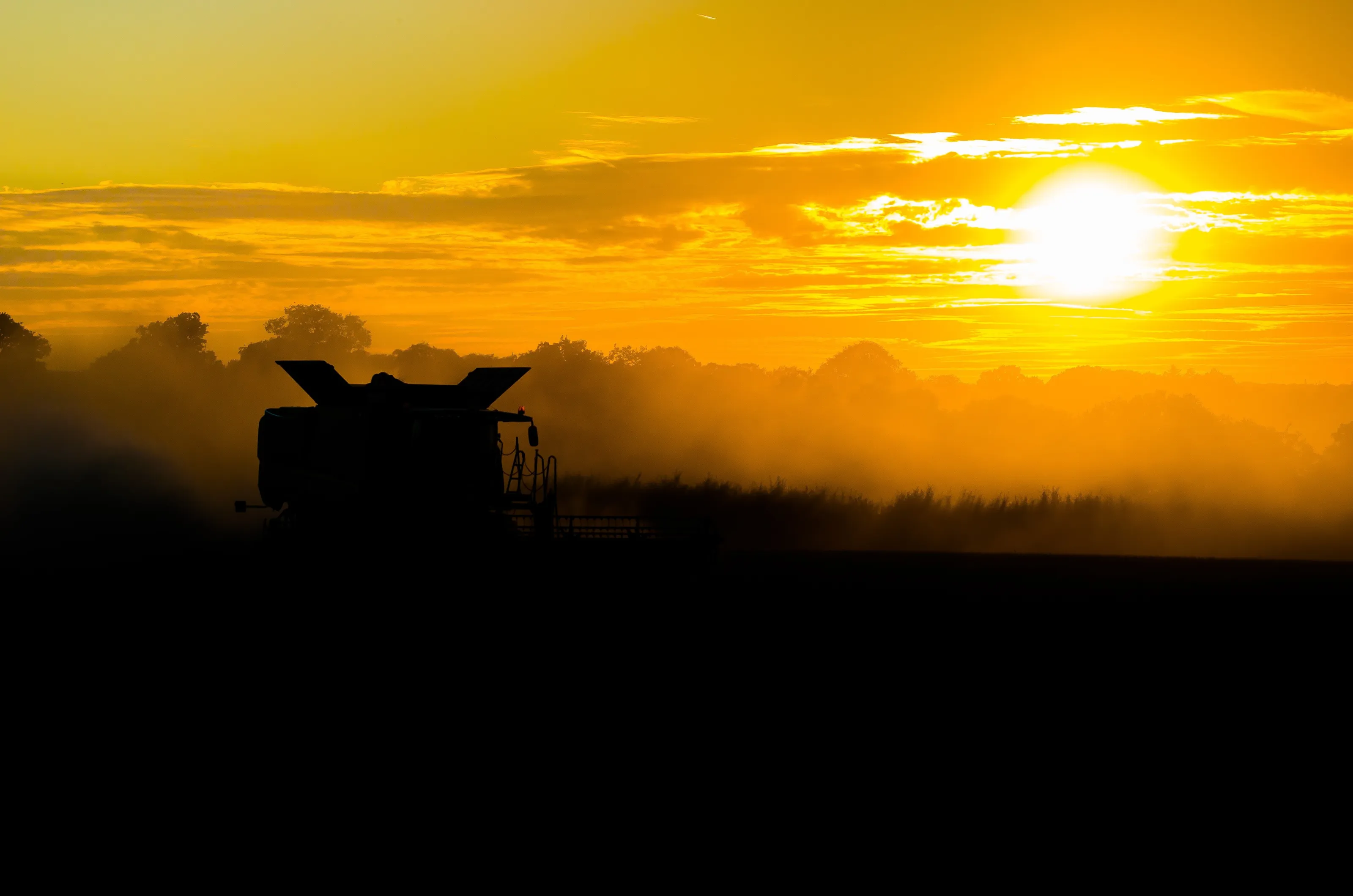 Dusty Glow