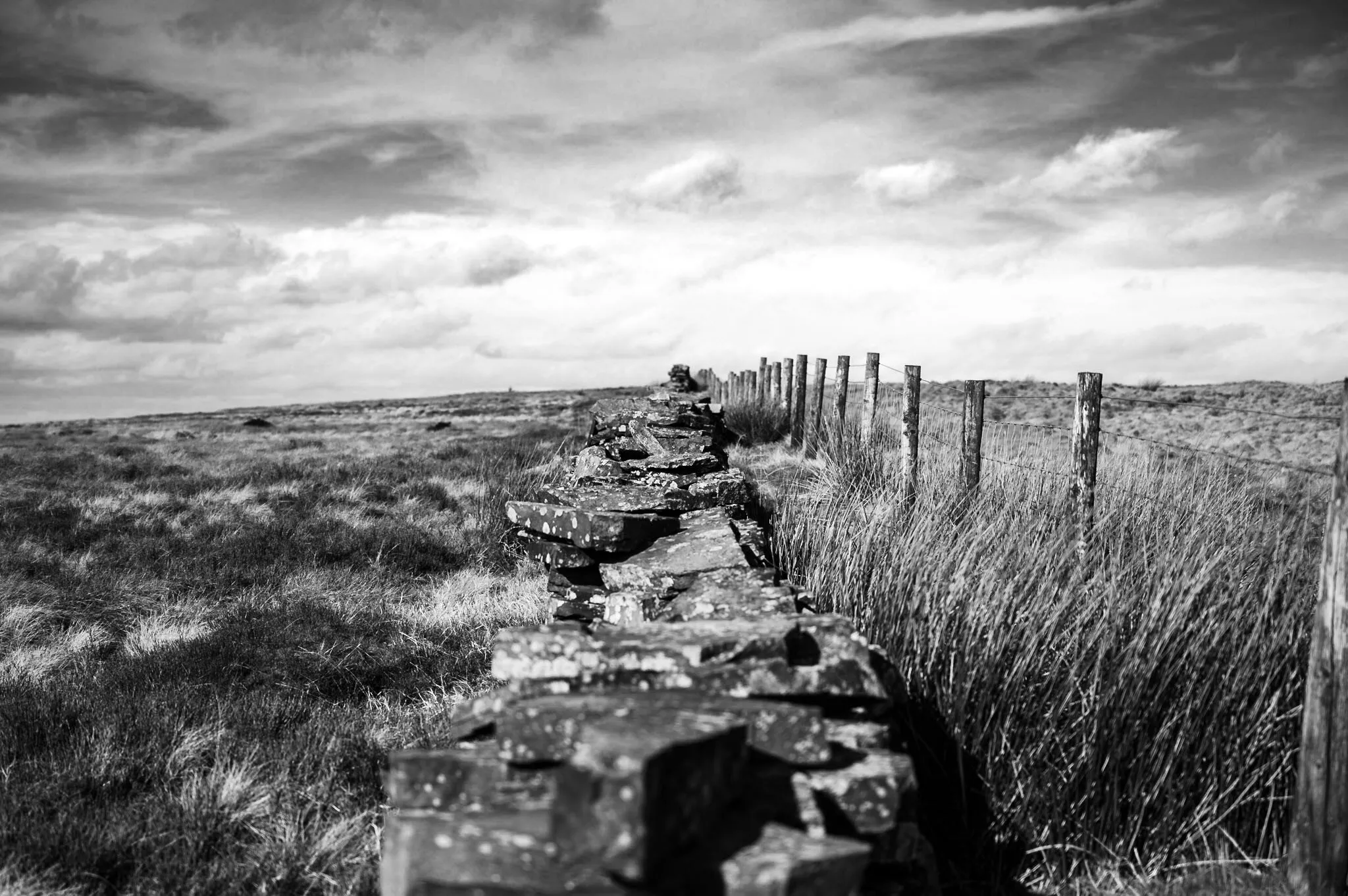 Wall and Fence in black and white