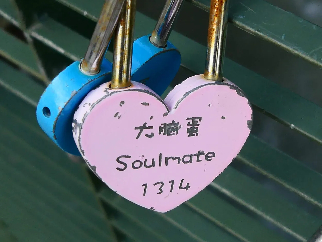 Entry 15845170