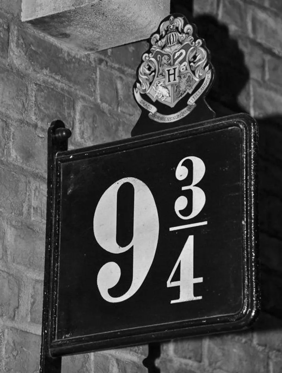 Entry 4248355