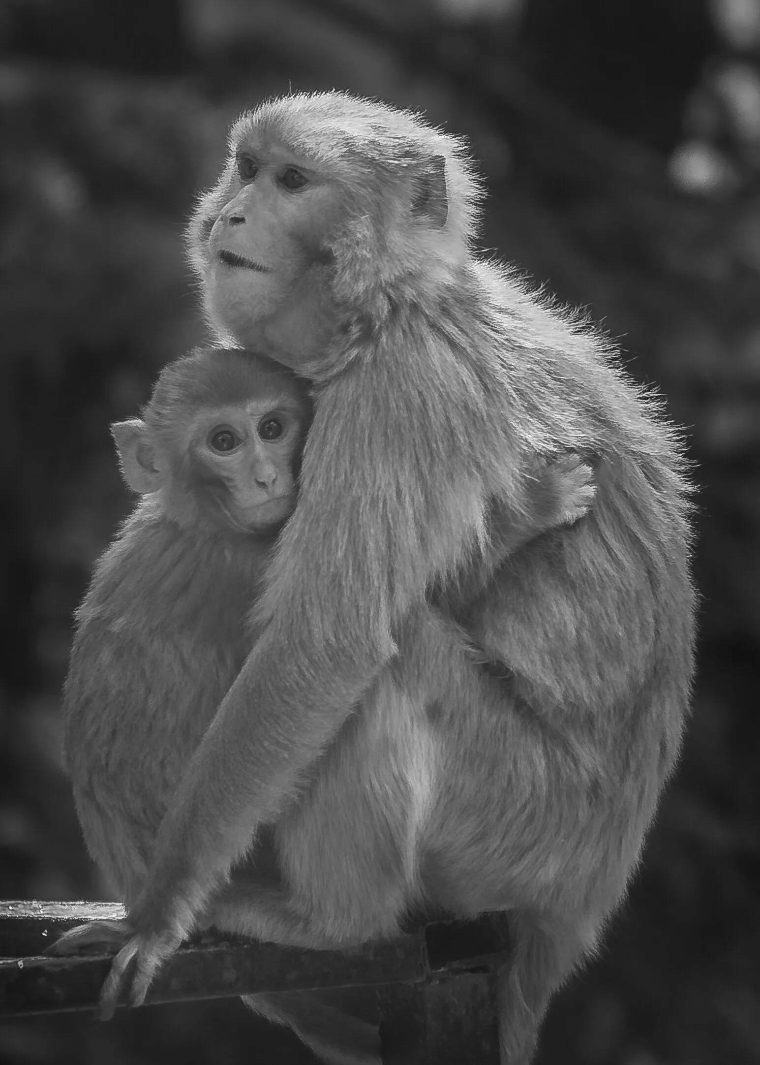 Safest place in the world is mother's arm.