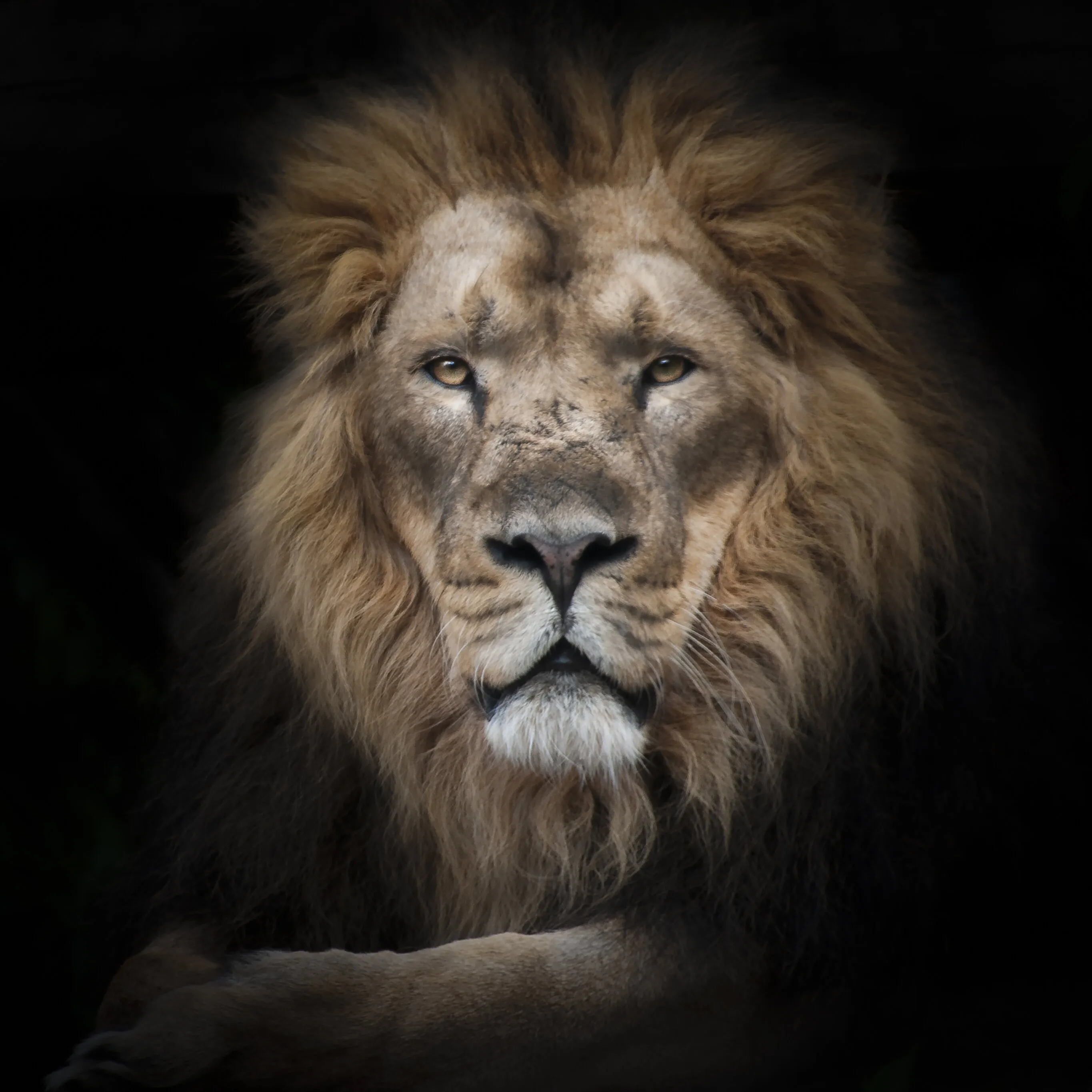 King