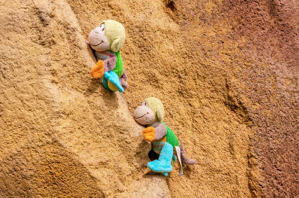Entry 6722523