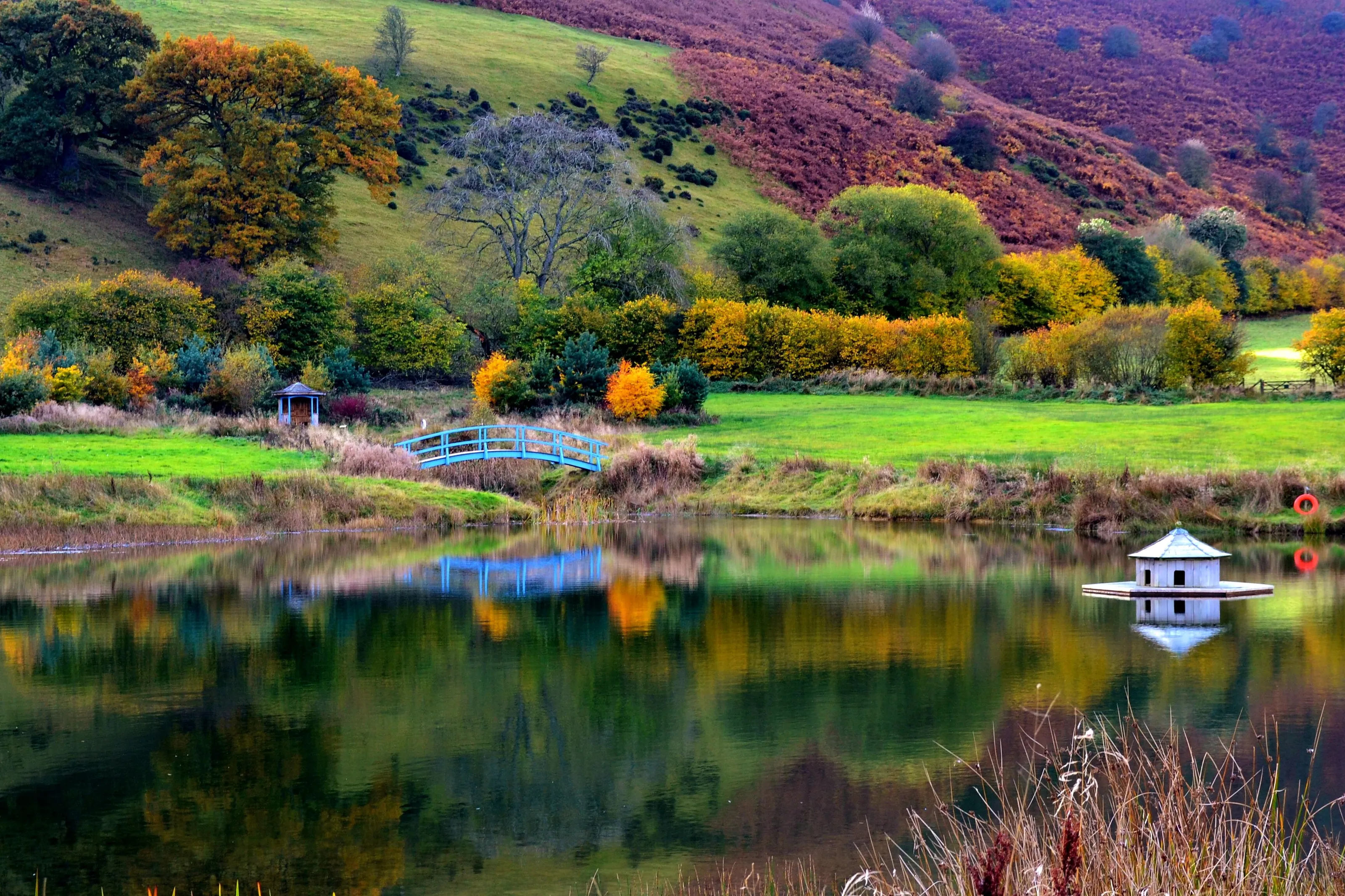 reflections