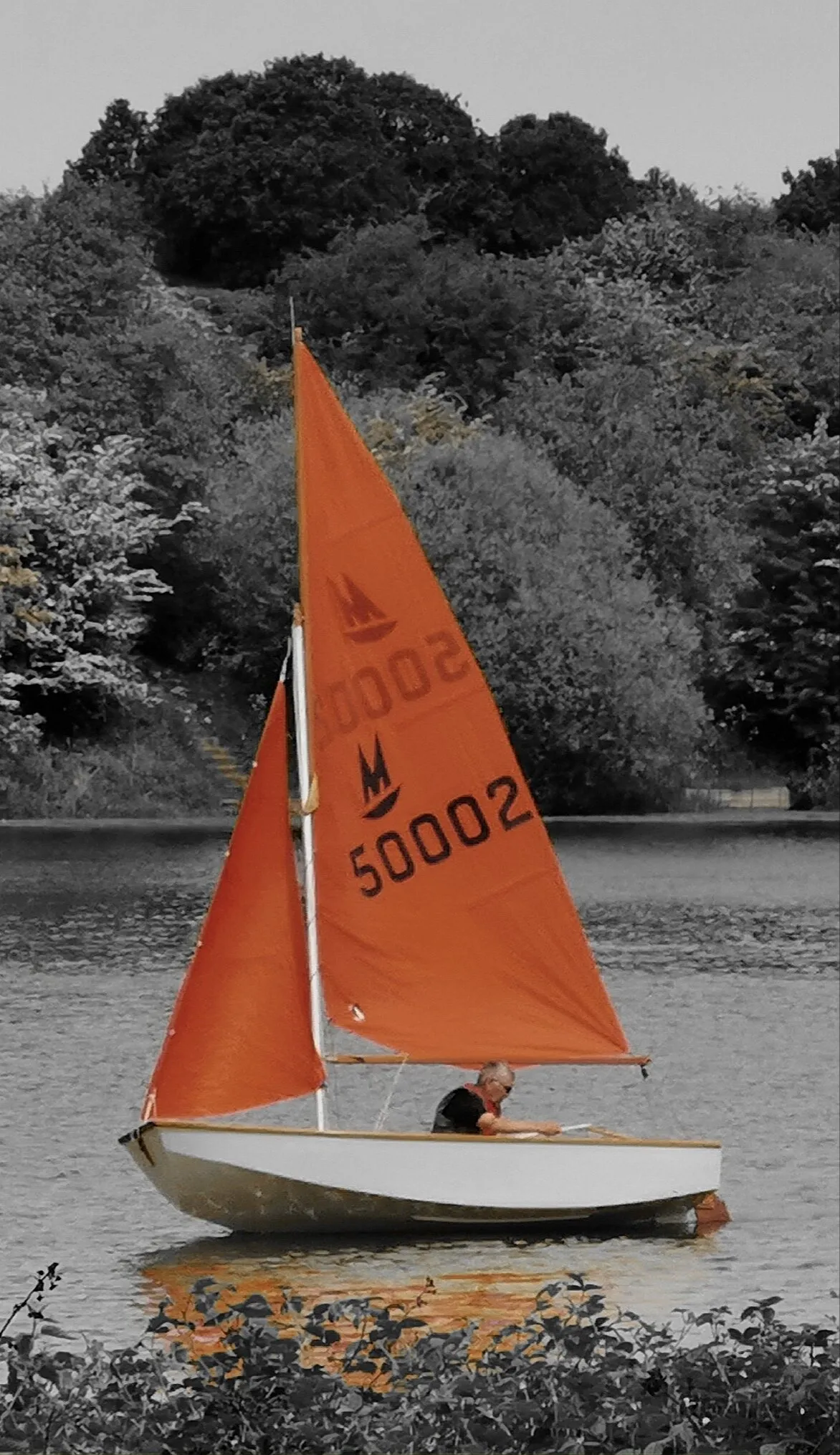Sail away