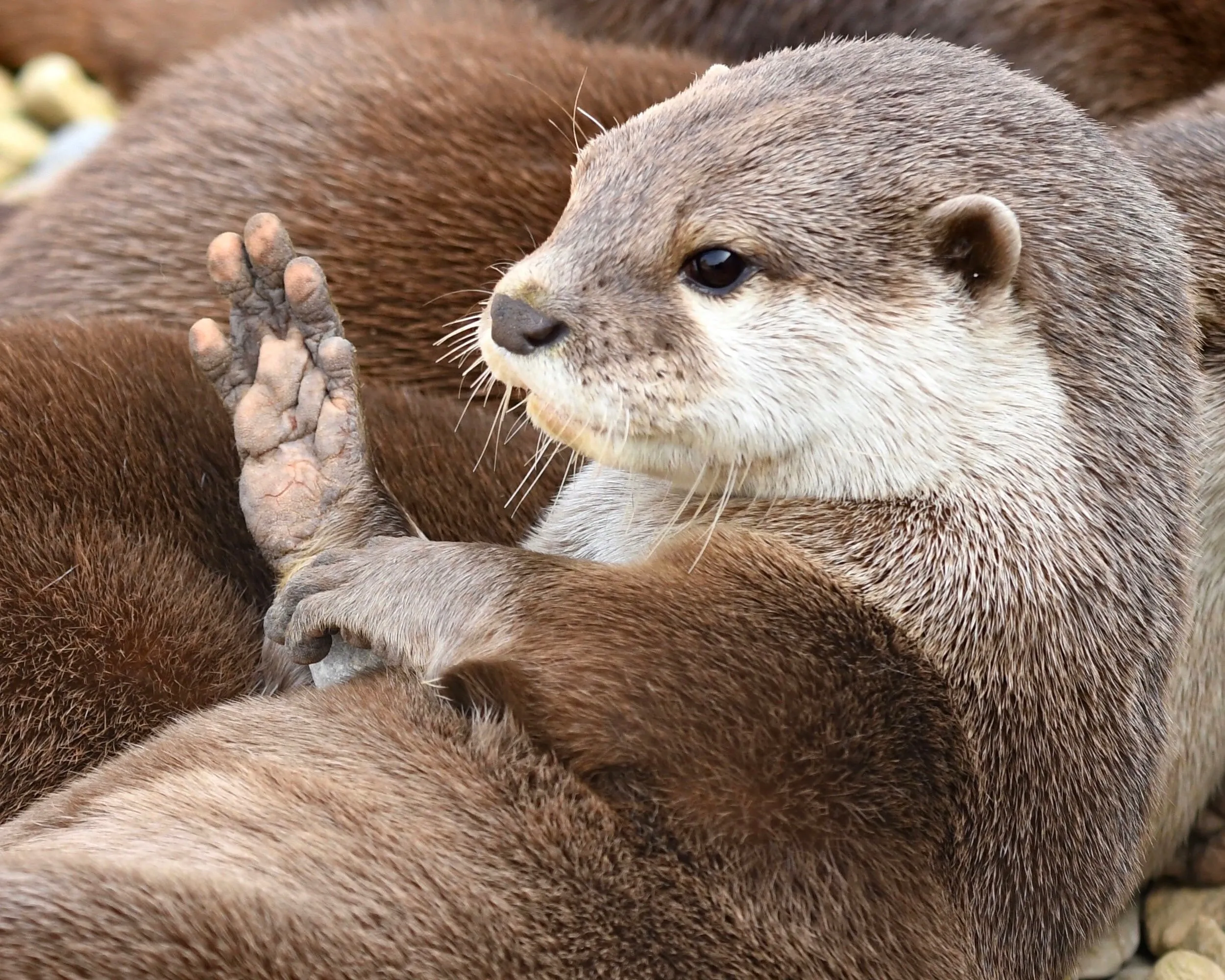 Banner image