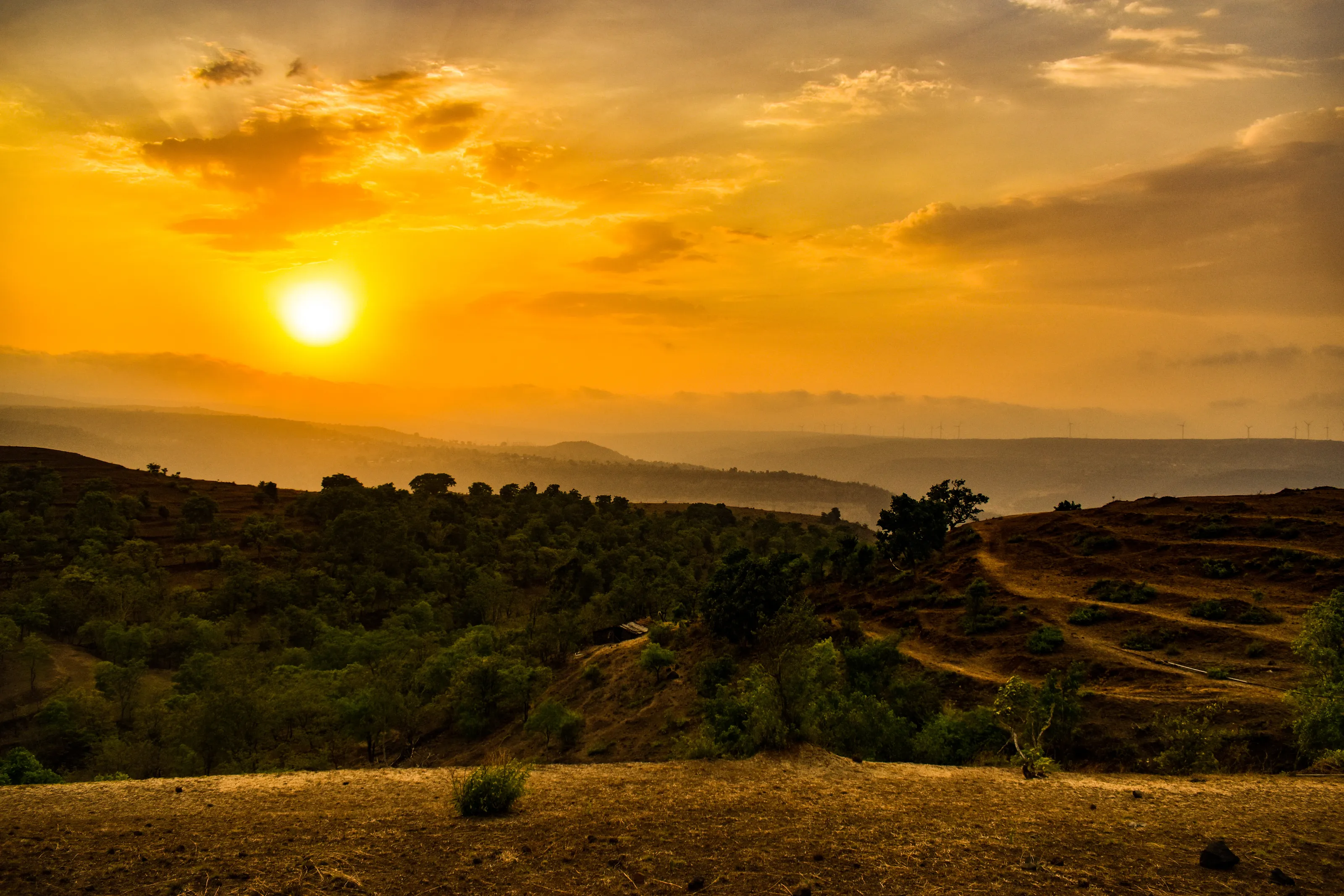 Golden eve