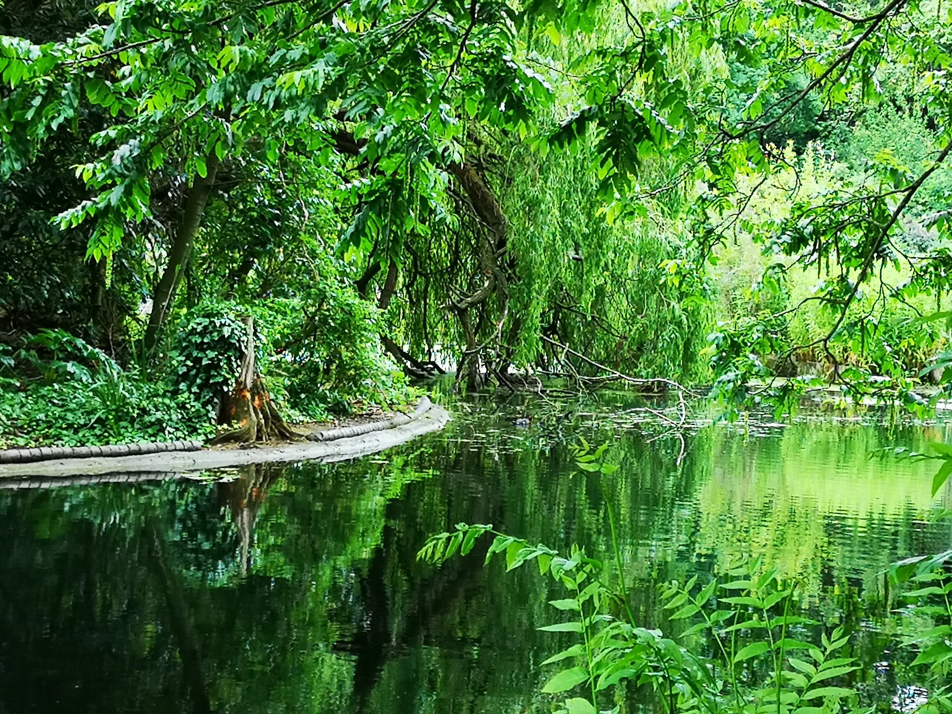 Fresh and lush