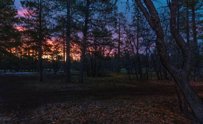 Colors of the Morning