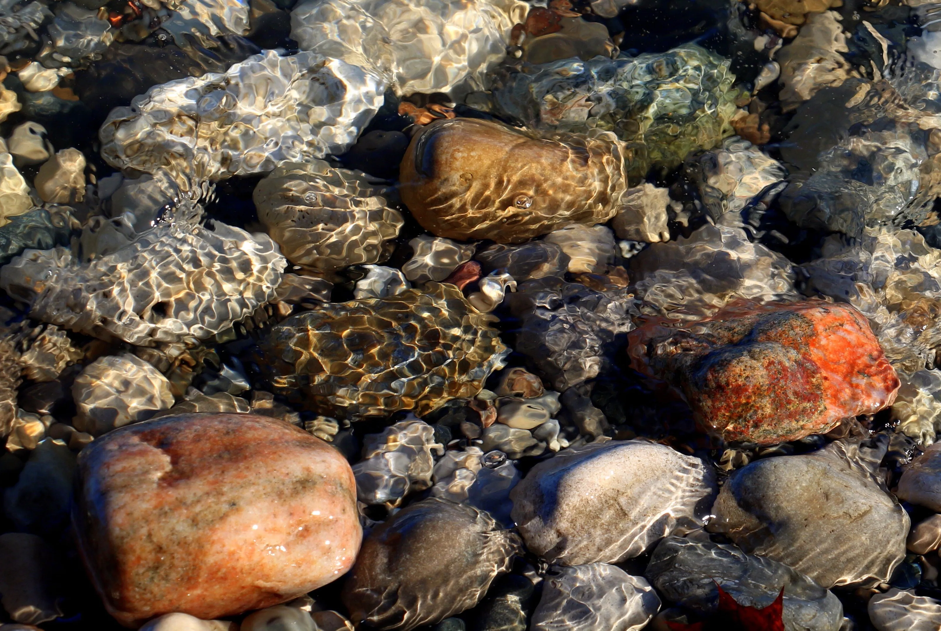 Pebbles in a stream