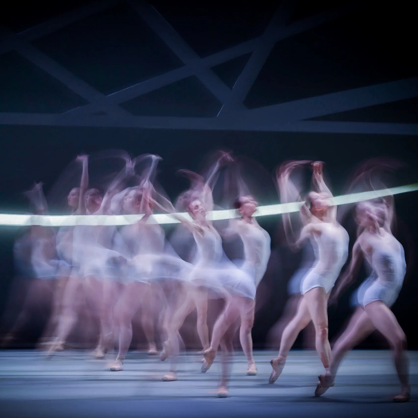 A Swan Lake