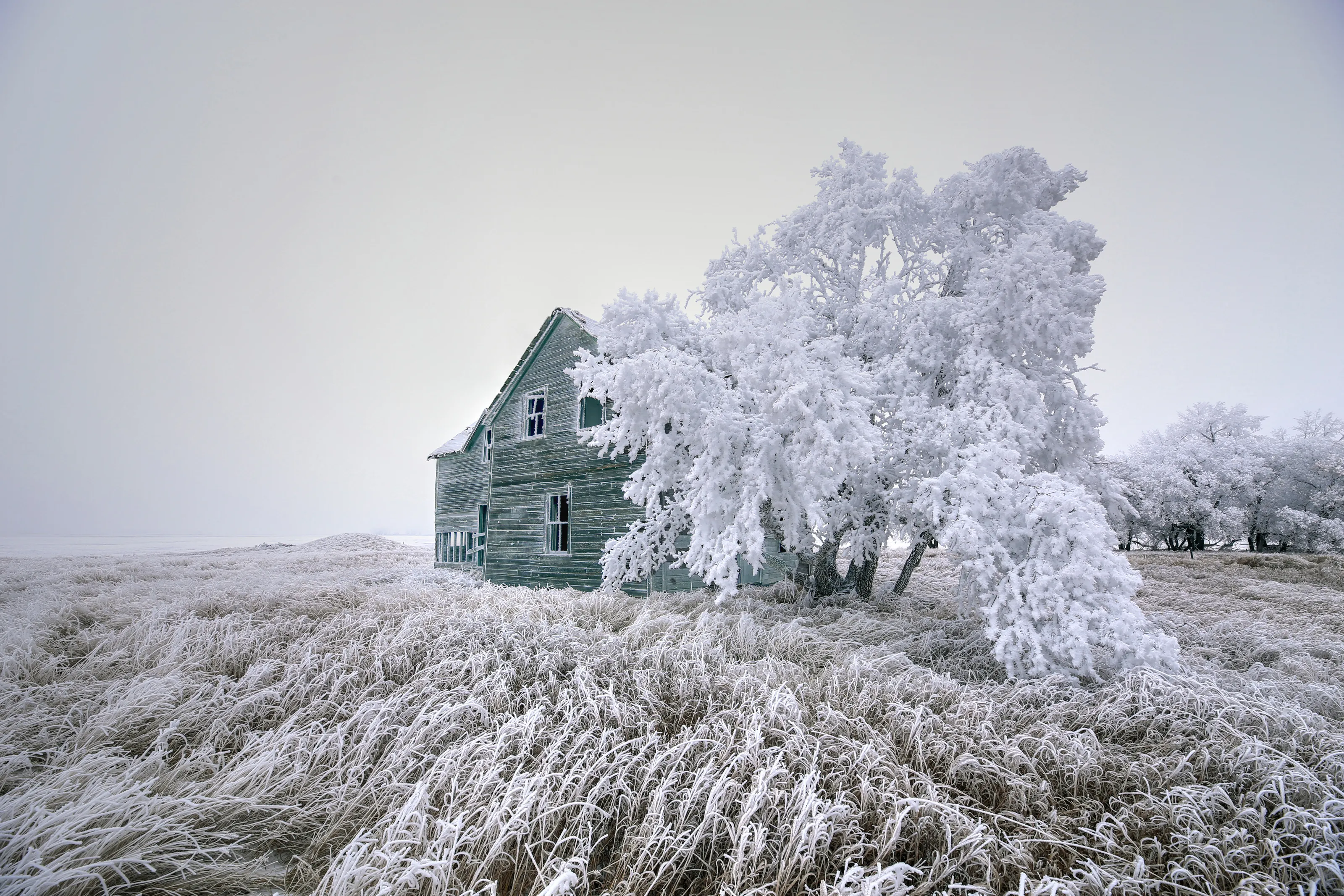 rime frost