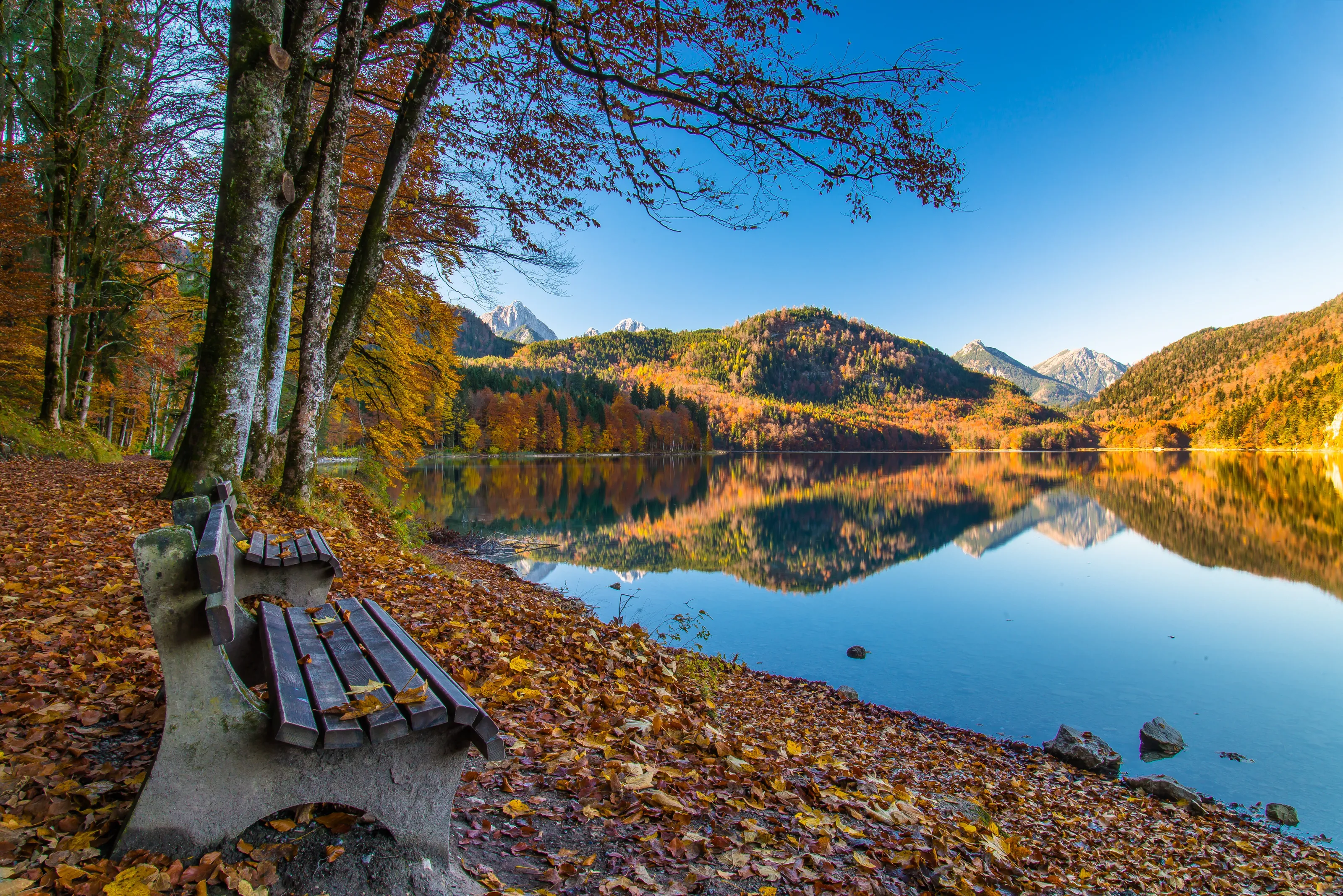 Lonely Alpsee