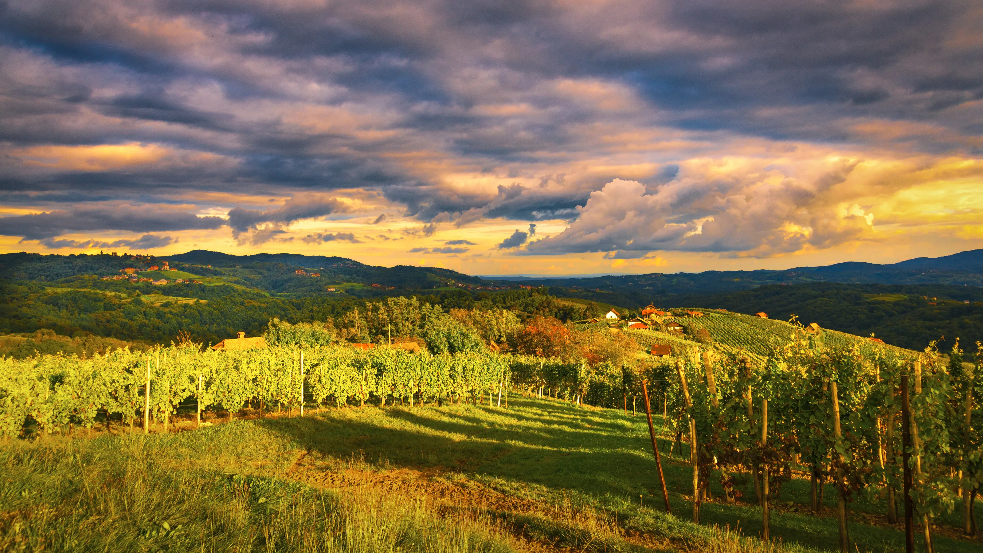 Bela Krajina