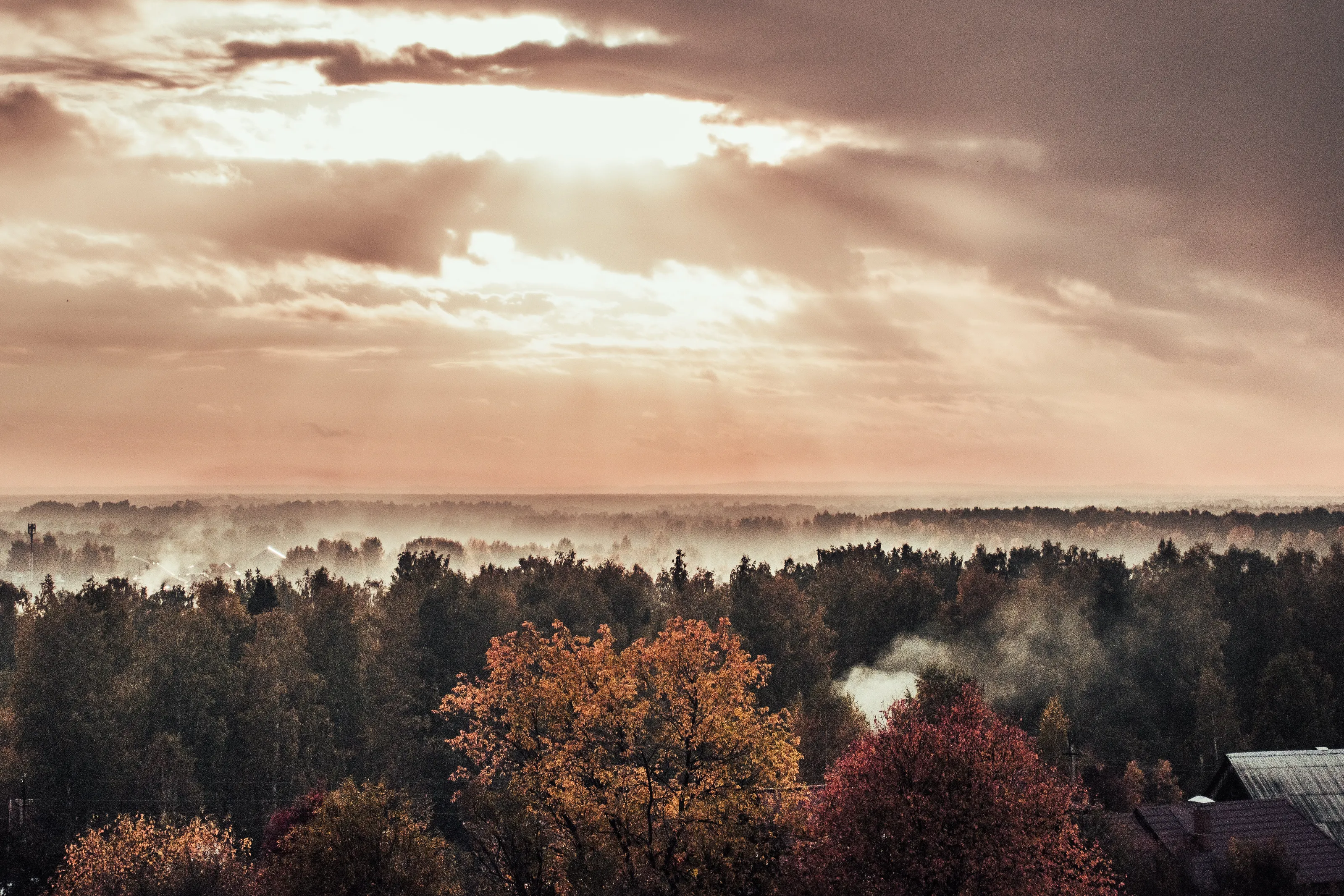 fog and sun