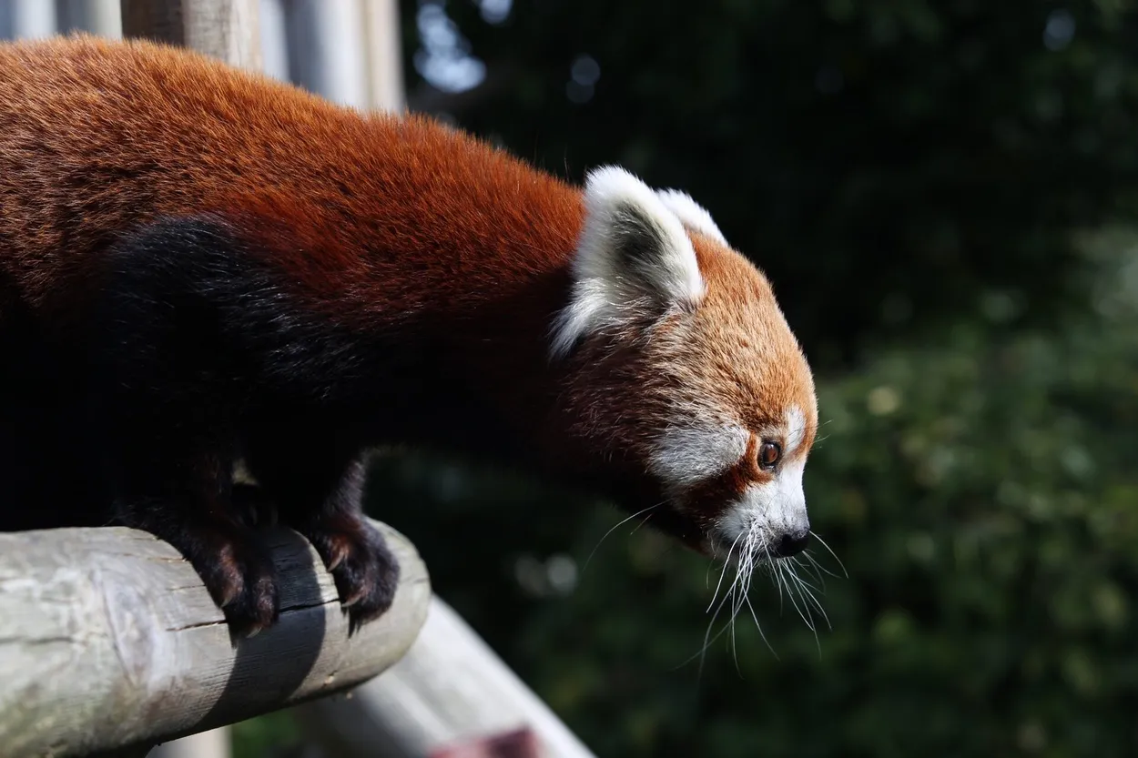 Entry 4300690