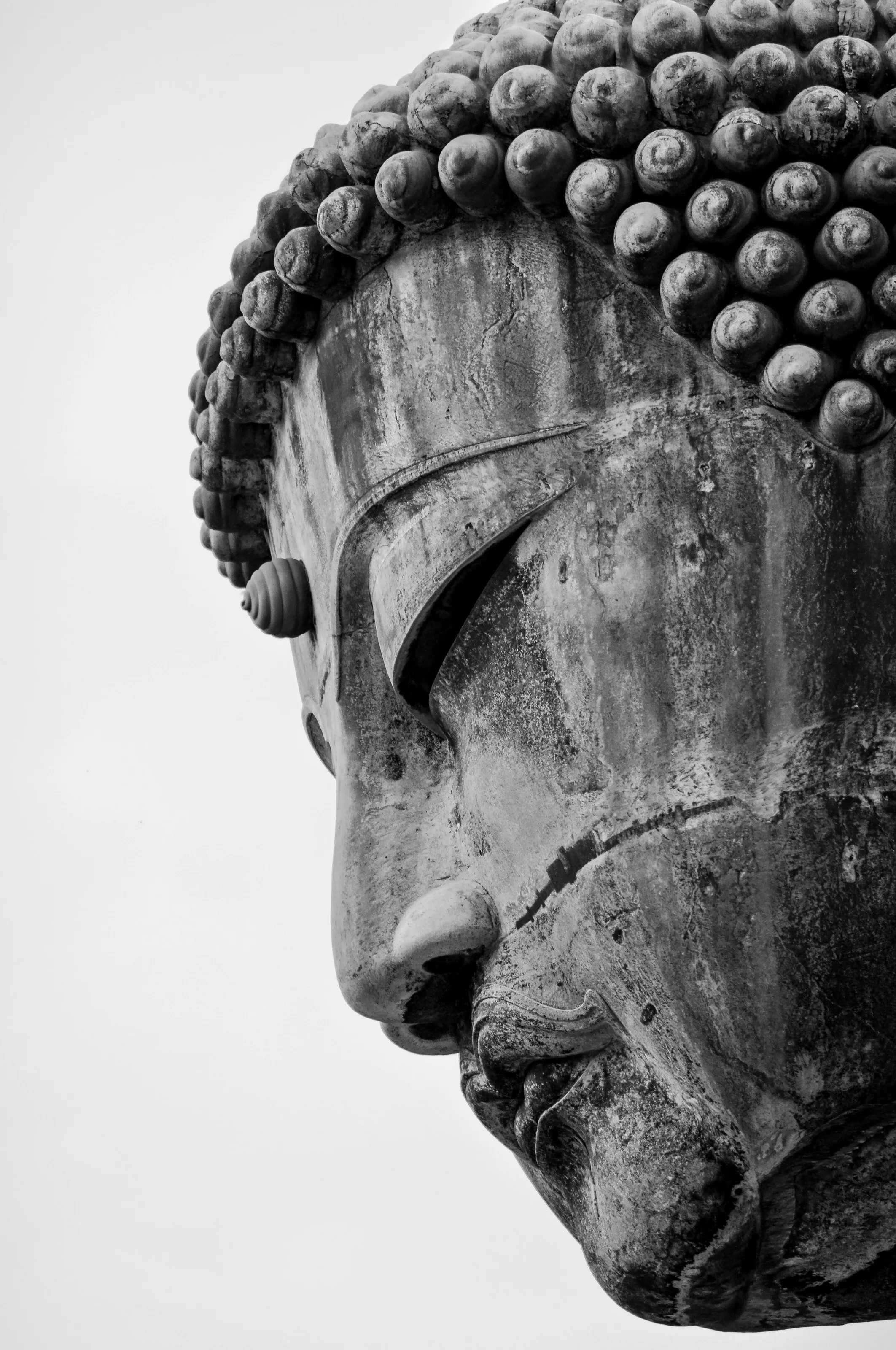 Giant Buddha