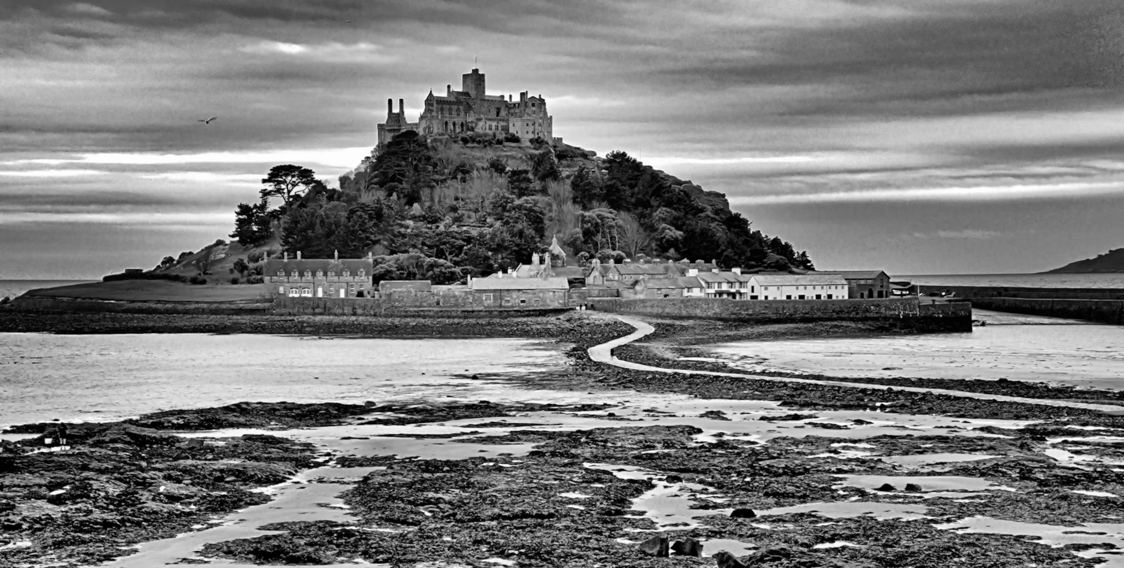 Entry 23738345