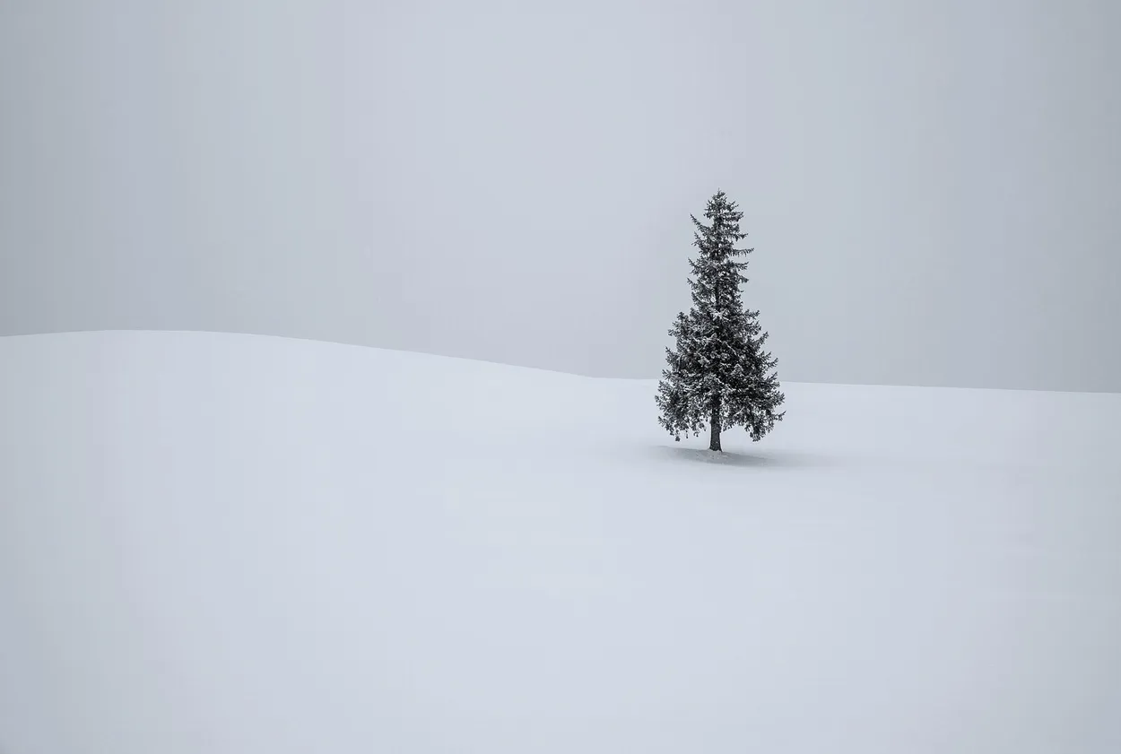 Single tree (mono)