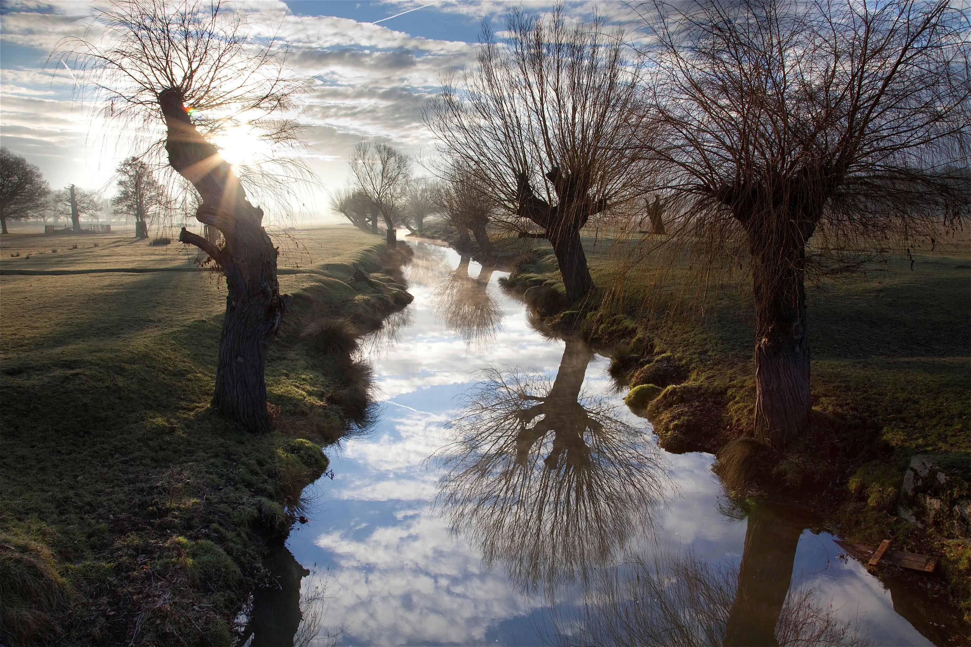 Winter's First Light