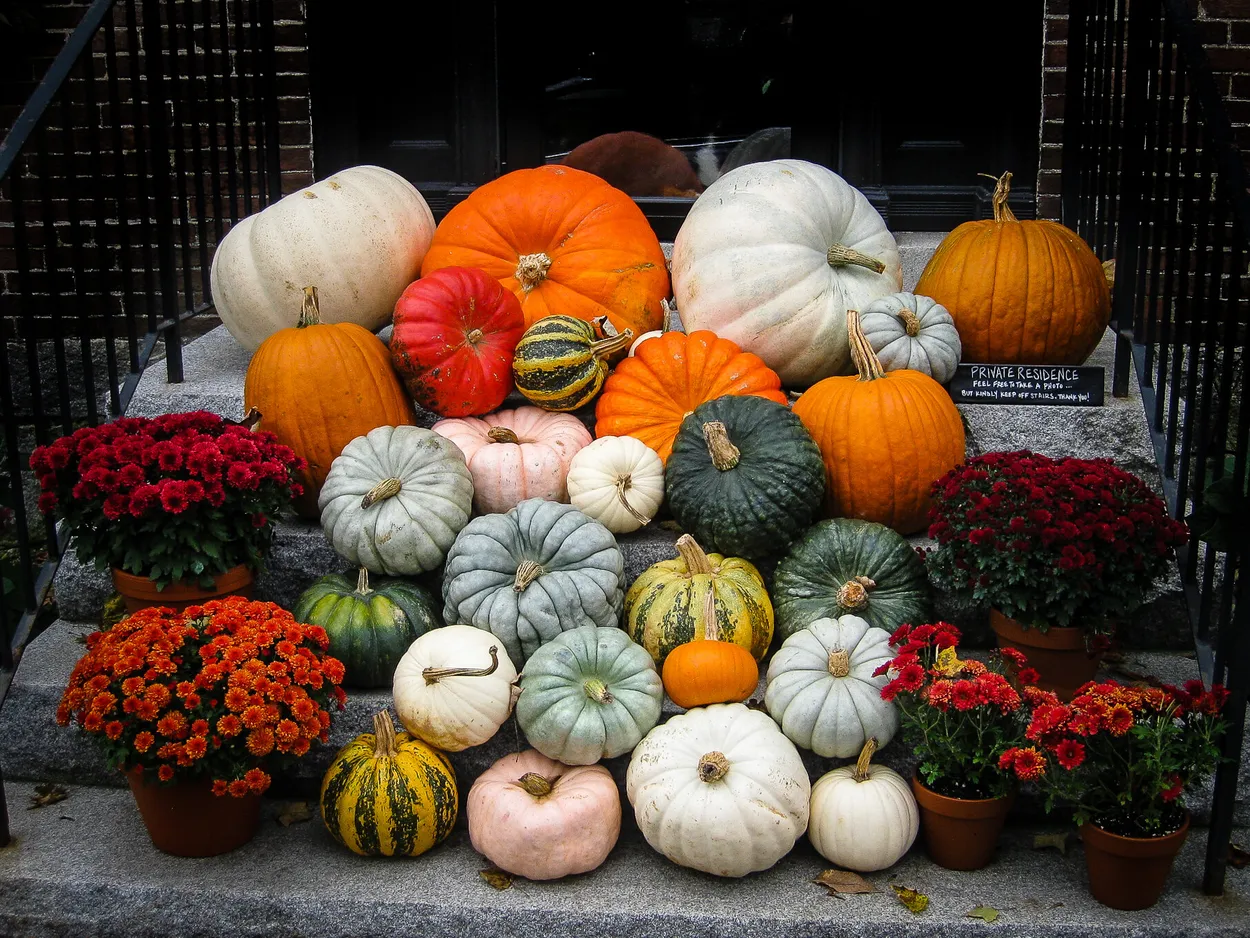 Entry 14109104