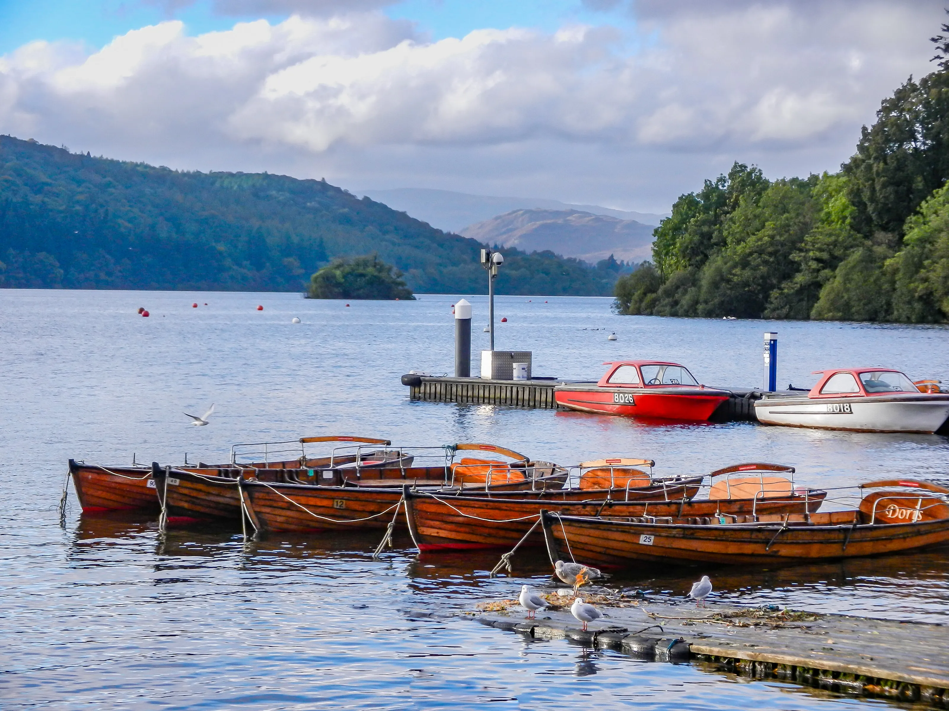 Boats and Seagulls by the lake