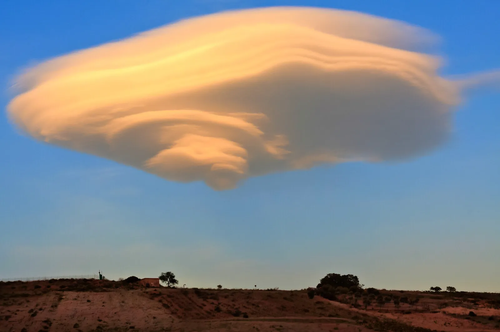 The Cloud