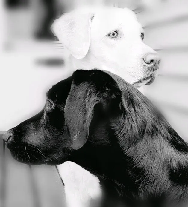 keeping watch