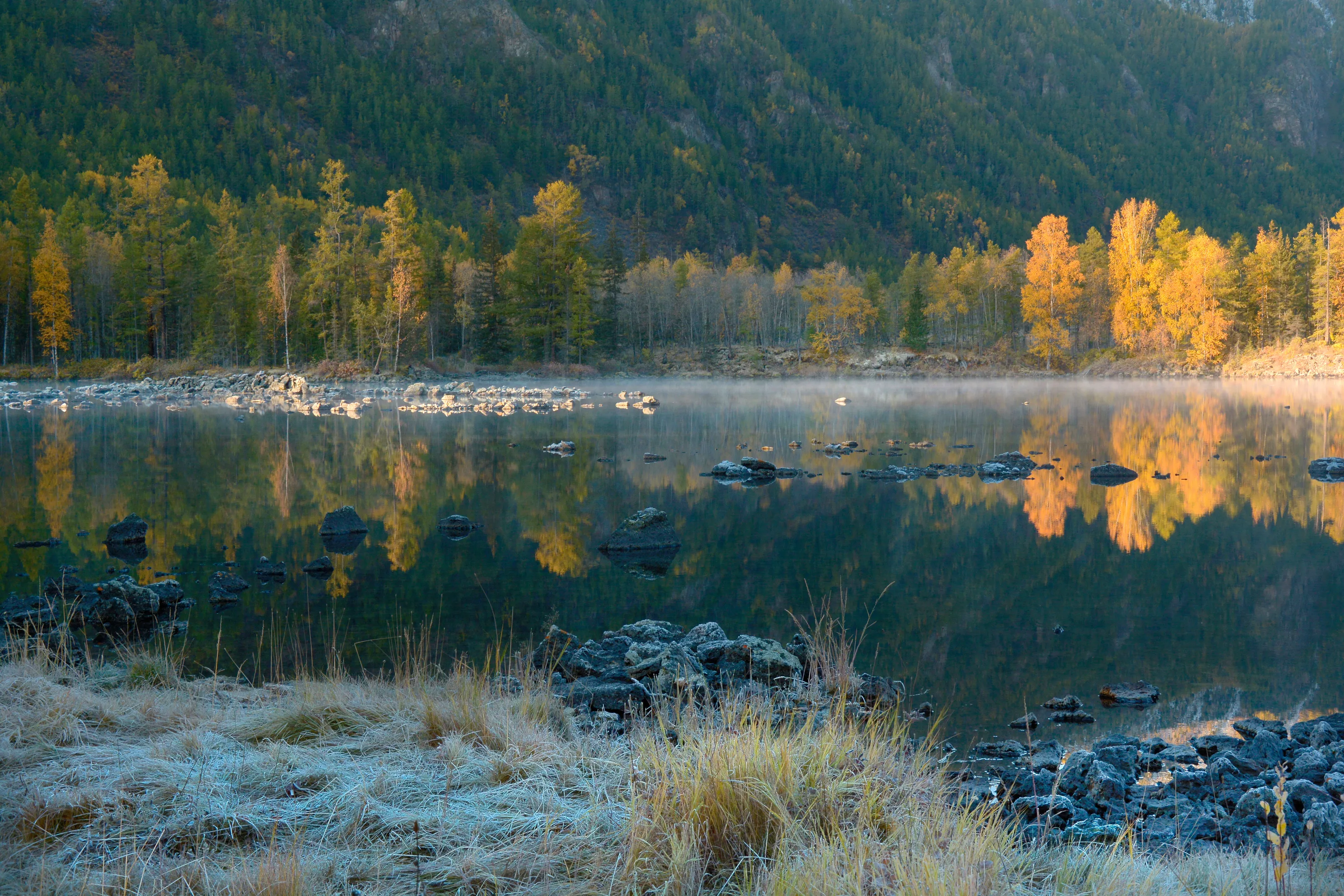 fog on the lake
