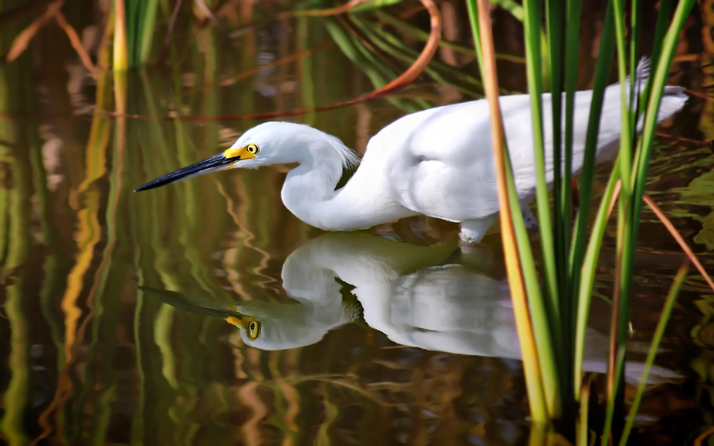 Fishing